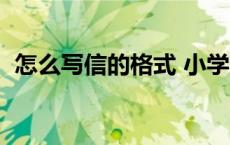 怎么写信的格式 小学生（怎么写信的格式）
