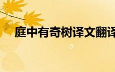 庭中有奇树译文翻译（庭中有奇树译文）