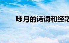 咏月的诗词和经散文（咏月的诗词）