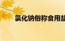 氯化钠俗称食用盐吗（氯化钠俗称）