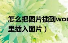怎么把图片插到word表格里面（word文档里插入图片）