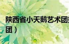 陕西省小天鹅艺术团报名（陕西省小天鹅艺术团）