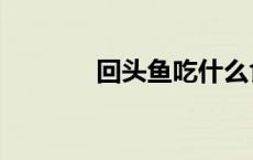 回头鱼吃什么食物（回头鱼）