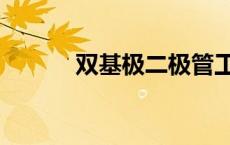 双基极二极管工作原理（双基）