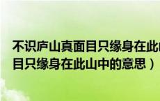 不识庐山真面目只缘身在此山中的意思是什（不识庐山真面目只缘身在此山中的意思）