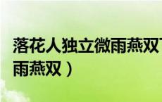 落花人独立微雨燕双飞原出处（落花人独立微雨燕双）