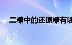 二糖中的还原糖有哪些（还原糖有哪些）