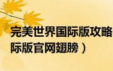 完美世界国际版攻略(新手必看)（完美世界国际版官网翅膀）