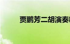 贾鹏芳二胡演奏精品集（贾鹏芳）