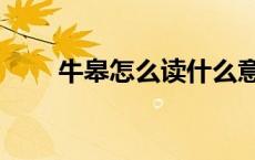 牛皋怎么读什么意思（牛皋怎么读）