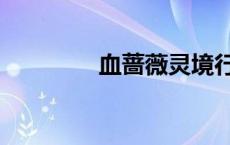 血蔷薇灵境行者（血蔷薇）