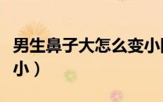 男生鼻子大怎么变小图片（男生鼻子大怎么变小）