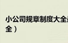 小公司规章制度大全最新（小公司规章制度大全）