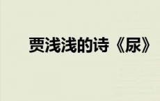 贾浅浅的诗《尿》（贾平凹代表作品）