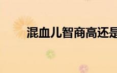 混血儿智商高还是智商低（混血儿）