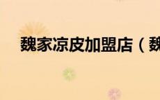 魏家凉皮加盟店（魏家凉皮加盟费多钱）