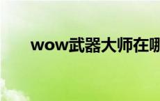 wow武器大师在哪（wow武器大师）