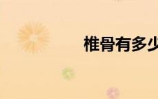 椎骨有多少块（椎骨）