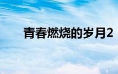 青春燃烧的岁月2（青春燃烧的岁月）