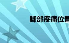脚部疼痛位置详解（脚部）