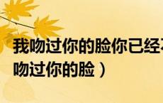 我吻过你的脸你已经不在我身边是什么歌（我吻过你的脸）