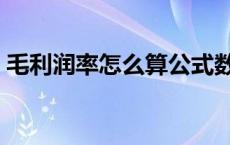 毛利润率怎么算公式数学（毛利润率怎么算）