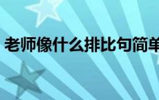 老师像什么排比句简单（老师像什么排比句）