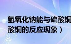 氢氧化钠能与硫酸铜反应吗?（氢氧化钠与硫酸铜的反应现象）