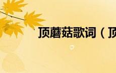 顶蘑菇歌词（顶蘑菇什么意思）