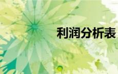 利润分析表（利润分析）