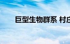 巨型生物群系 村庄（巨型生物群系）