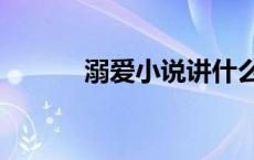 溺爱小说讲什么（溺爱小说bl）