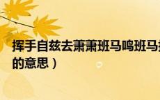 挥手自兹去萧萧班马鸣班马指的是（挥手自兹去萧萧班马鸣的意思）