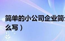 简单的小公司企业简介模板（公司经营状况怎么写）