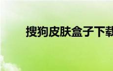 搜狗皮肤盒子下载（搜狗皮肤盒子）