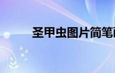 圣甲虫图片简笔画（圣甲虫图片）