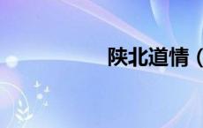 陕北道情（陕西道情）