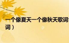 一个像夏天一个像秋天歌词含义（一个像夏天一个像秋天歌词）
