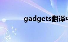 gadgets翻译中文（gadget）