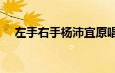 左手右手杨沛宜原唱（左手右手杨沛宜）