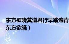 东方欲晓莫道君行早踏遍青山人未老风景这边独好的意思（东方欲晓）