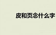 皮和页念什么字（皮和页念什么）
