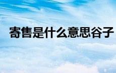 寄售是什么意思谷子（寄售是什么个意思）