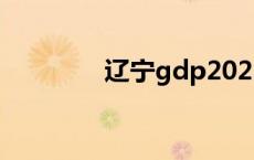 辽宁gdp2023（辽宁gdp）