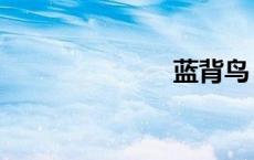 蓝背鸟（蓝背）