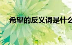 希望的反义词是什么词（希望的反义词）