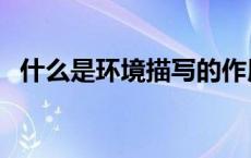 什么是环境描写的作用（什么是环境描写）