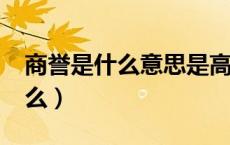 商誉是什么意思是高好还是低好?（商誉是什么）