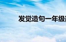 发觉造句一年级简单（发觉造句）
