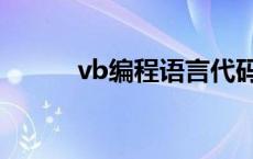 vb编程语言代码（vb编程语言）